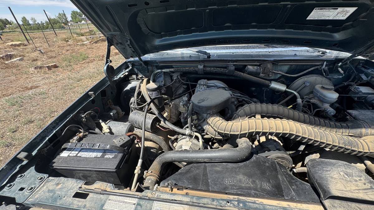 Ford-f-150-1993-blue-15