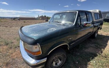 Ford-f-150-1993-blue-2