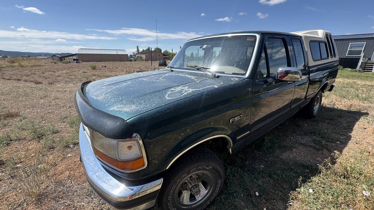 Ford-f-150-1993-blue-2