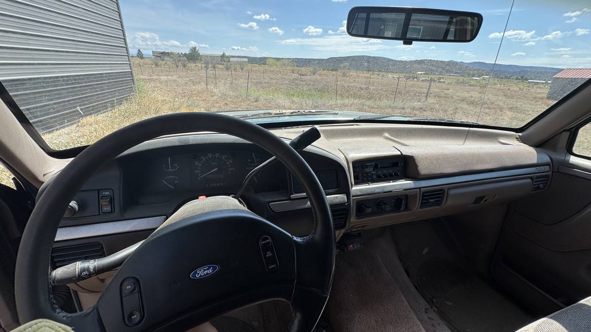 Ford-f-150-1993-blue-20