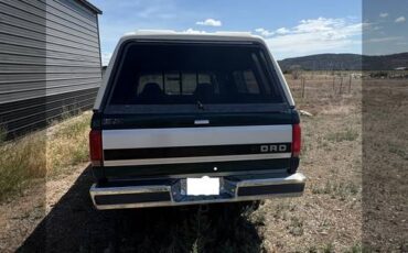 Ford-f-150-1993-blue-4