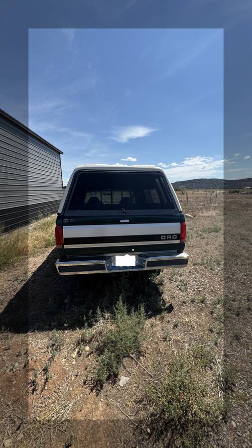 Ford-f-150-1993-blue-4