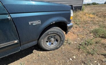 Ford-f-150-1993-blue-5