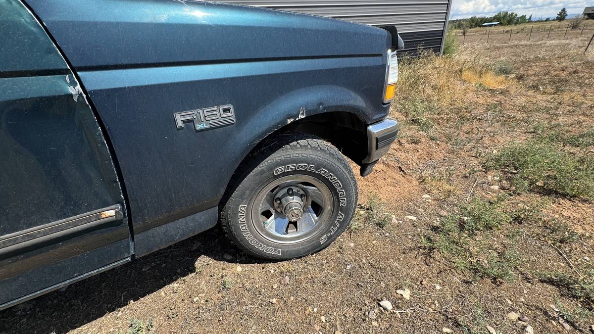 Ford-f-150-1993-blue-5