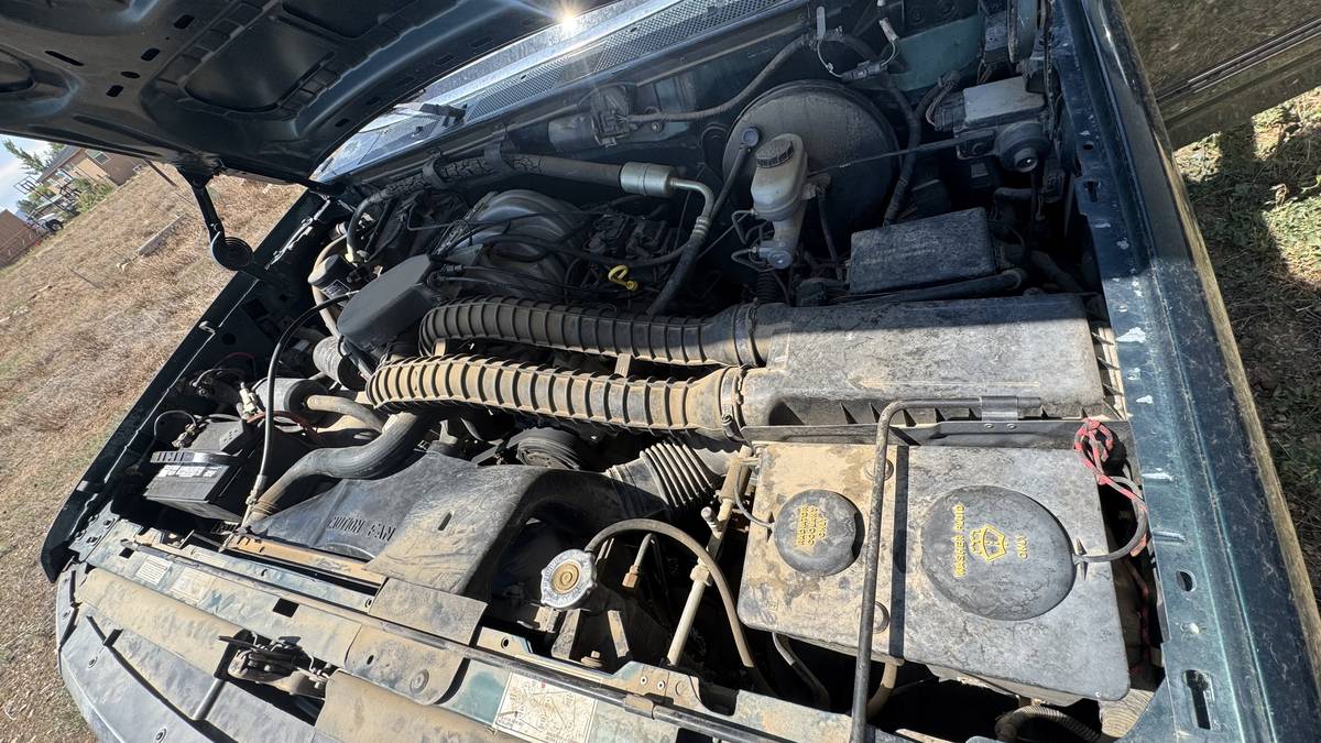 Ford-f-150-1993-blue-6
