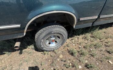 Ford-f-150-1993-blue-8