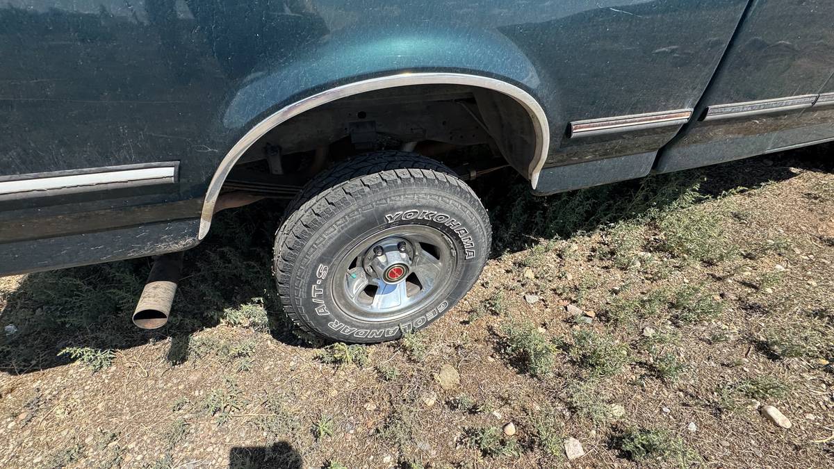 Ford-f-150-1993-blue-8