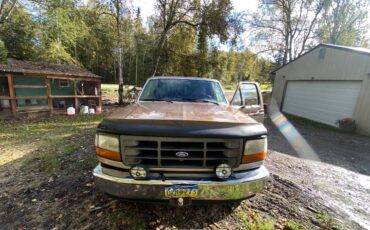 Ford-f-150-1993-brown-1