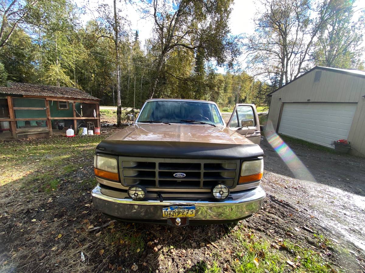 Ford-f-150-1993-brown-1