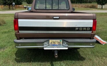 Ford-f-150-1993-brown-1