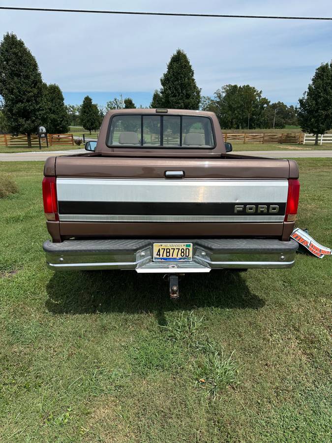 Ford-f-150-1993-brown-1