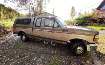 Ford-f-150-1993-brown