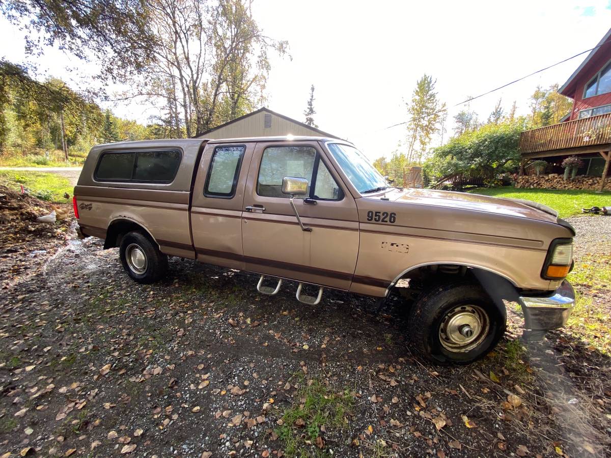 Ford-f-150-1993-brown