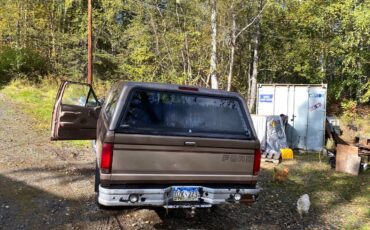 Ford-f-150-1993-brown-2