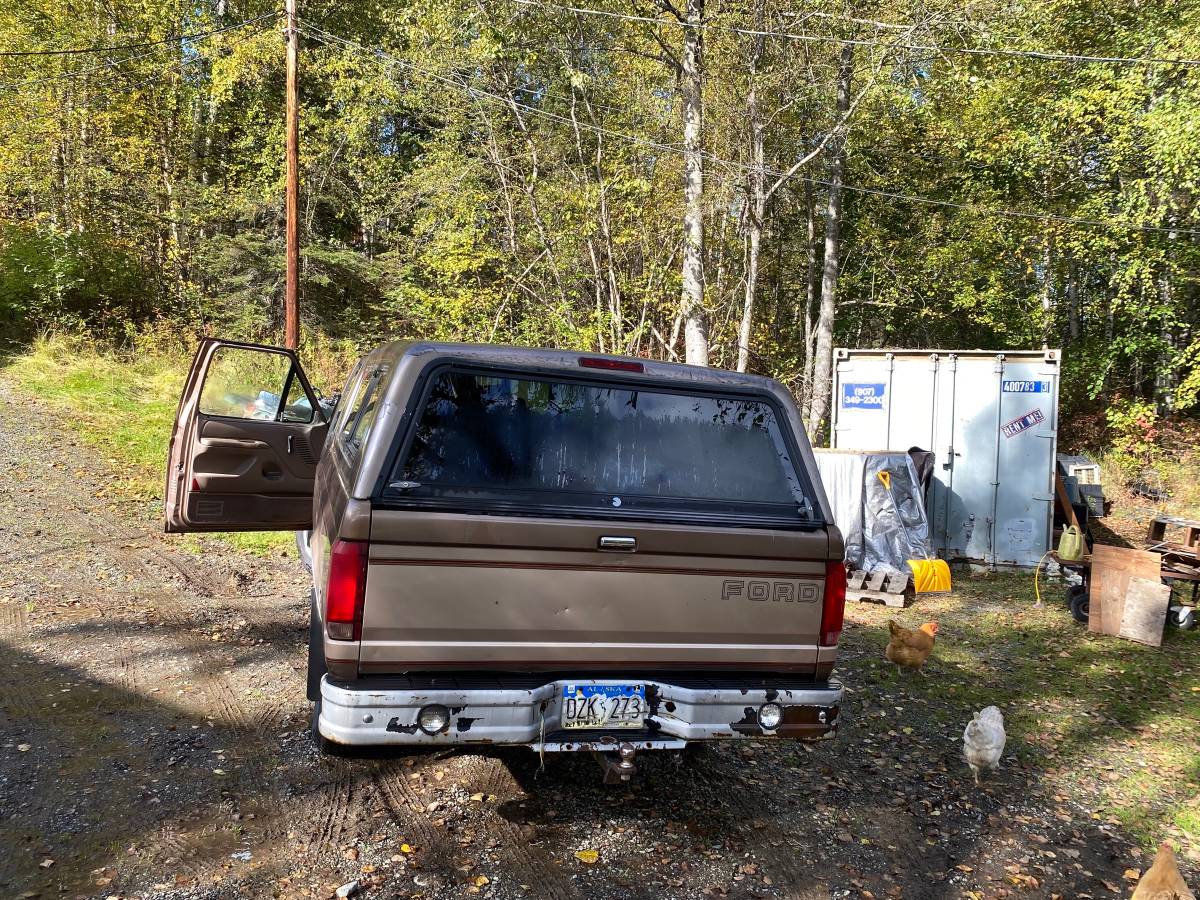 Ford-f-150-1993-brown-2