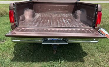 Ford-f-150-1993-brown-2