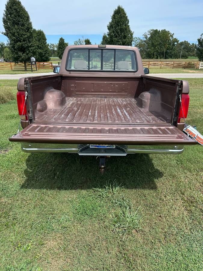 Ford-f-150-1993-brown-2