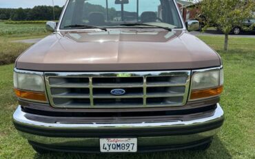 Ford-f-150-1993-brown-3