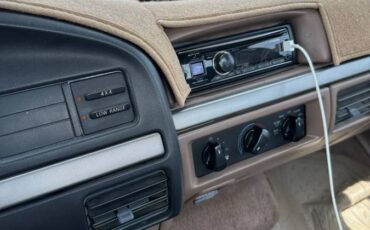 Ford-f-150-1993-brown