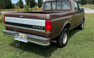 Ford-f-150-1993-brown-4