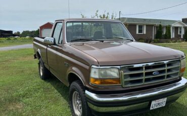 Ford-f-150-1993-brown-5