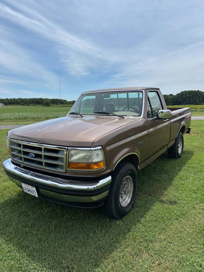 Ford-f-150-1993-brown-6