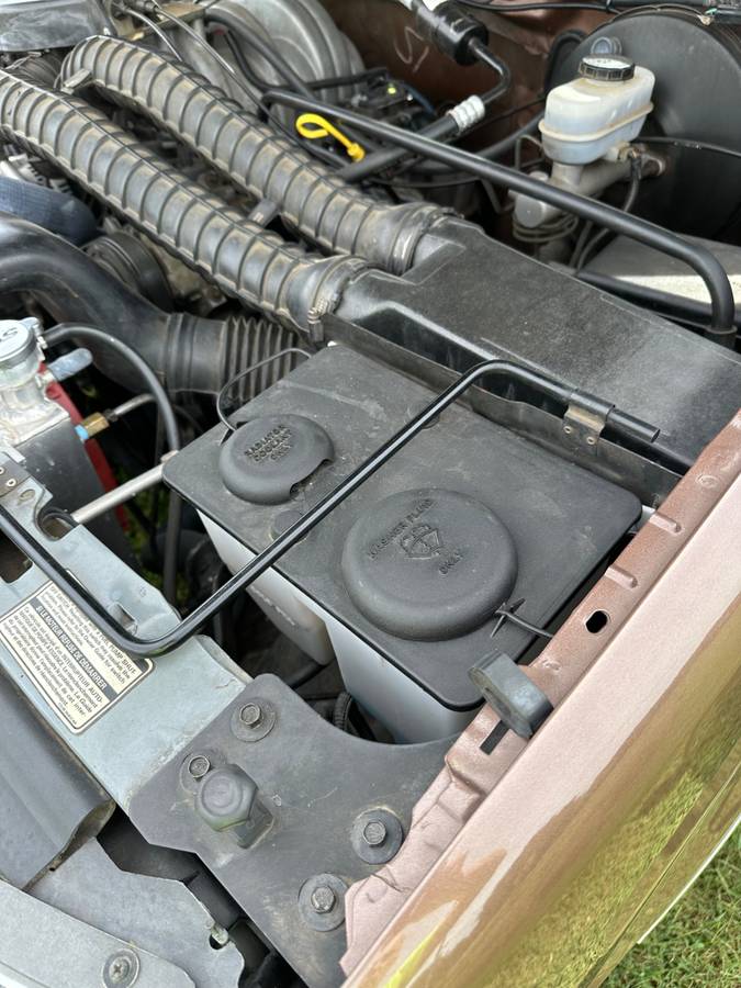 Ford-f-150-1993-brown-8