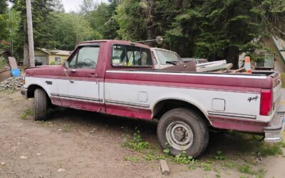 Ford f-150 1993