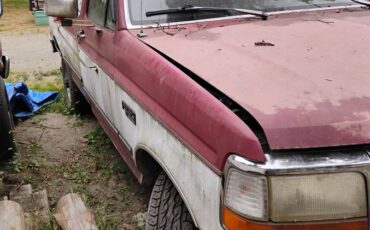 Ford-f-150-1993-custom-9