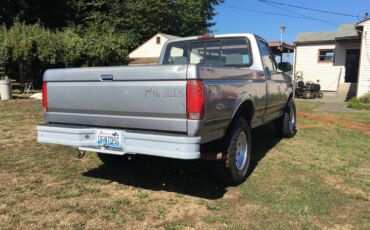 Ford-f-150-4x4-1994-4