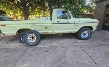 Ford-f-150-xl-standard-cab-1976-10