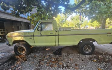 Ford-f-150-xl-standard-cab-1976-4