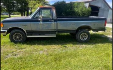 Ford-f-150-xlt-1990-blue