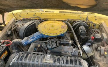 Ford-f-250-1980-yellow