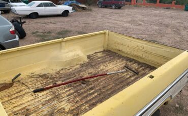 Ford-f-250-1980-yellow-4