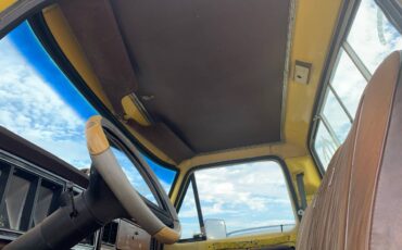 Ford-f-250-1980-yellow-6
