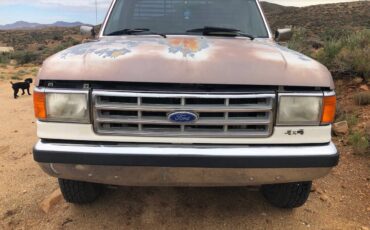 Ford-f-250-1987-brown-2