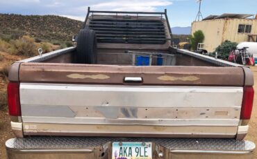 Ford-f-250-1987-brown-3