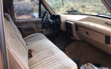 Ford-f-250-1987-brown-4