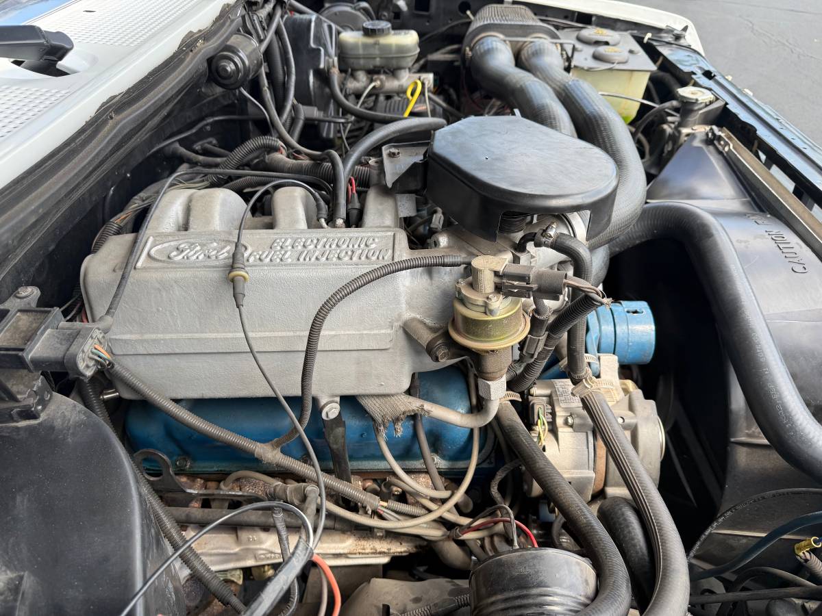 Ford-f-250-1987-white-13