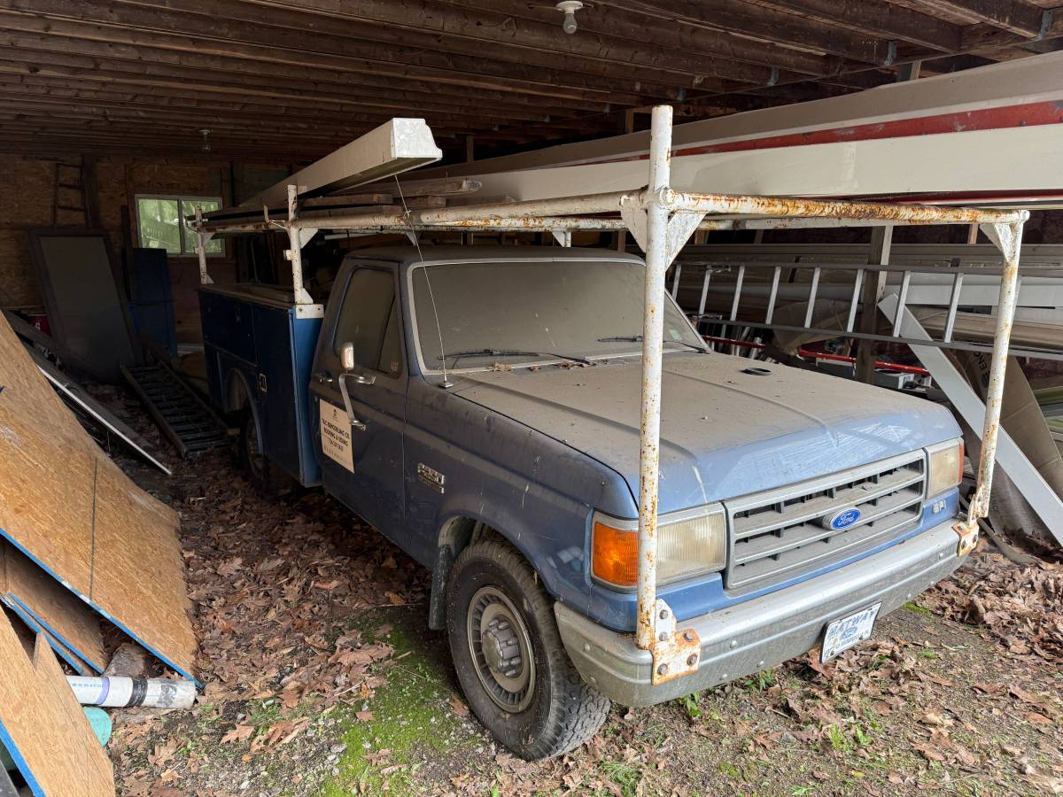 Ford-f-250-1989-blue