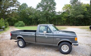 Ford-f-250-1990-grey