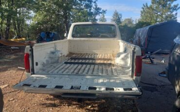 Ford-f-250-1991-white-10