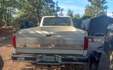Ford-f-250-1991-white-2