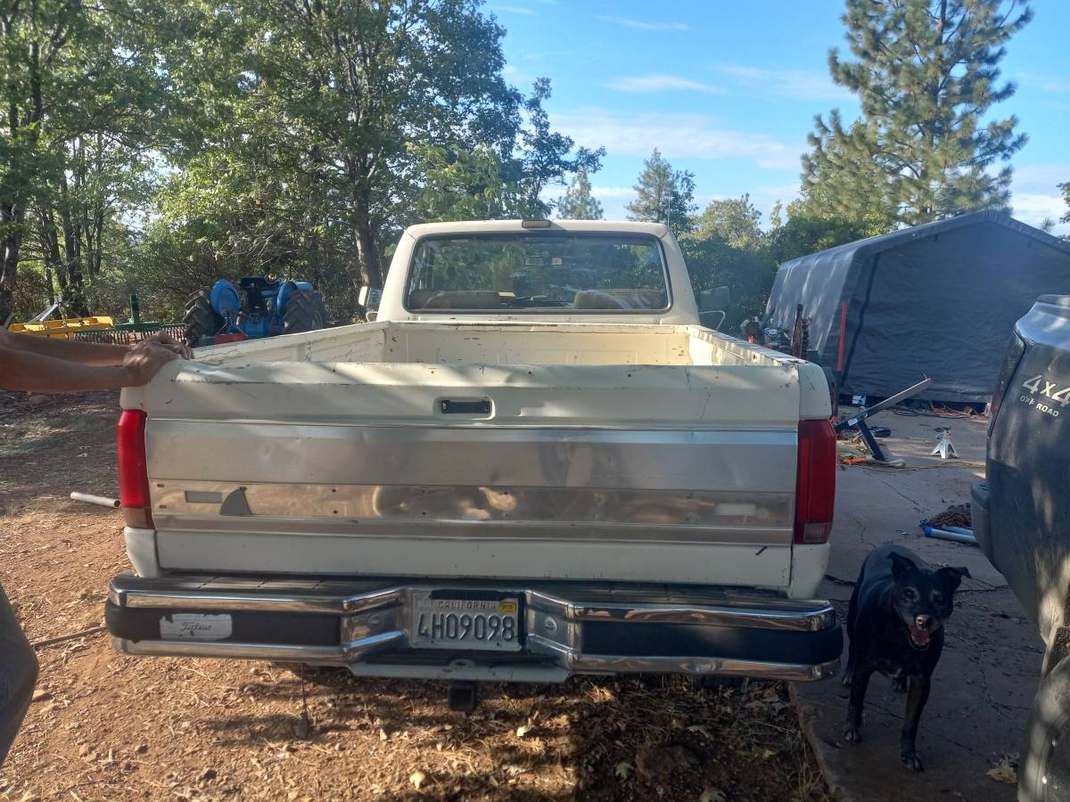 Ford-f-250-1991-white-2