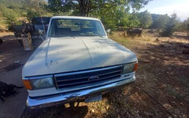 Ford-f-250-1991-white-7