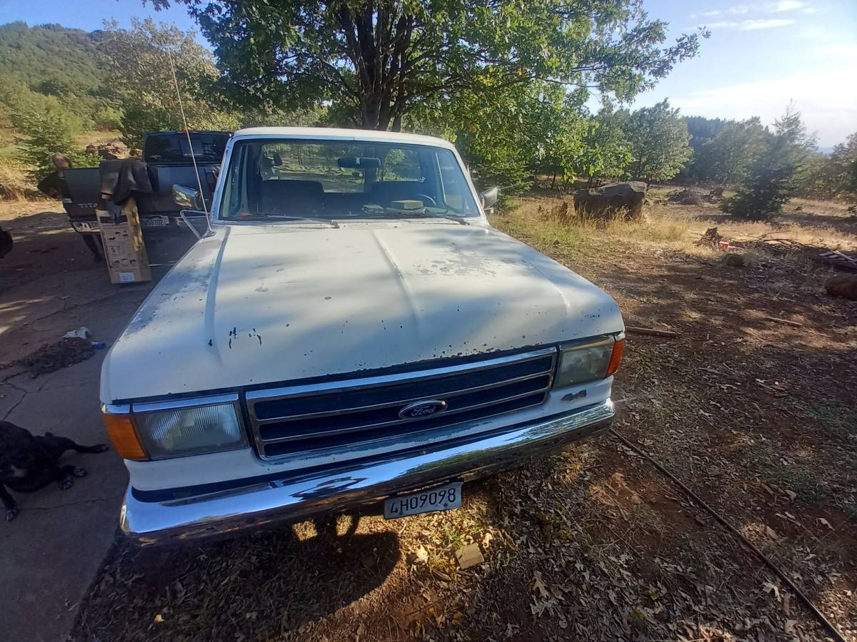 Ford-f-250-1991-white-7