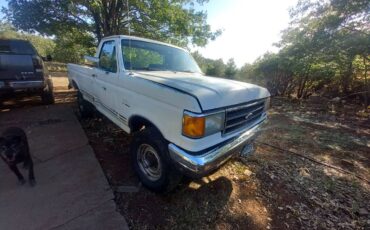 Ford-f-250-1991-white-8