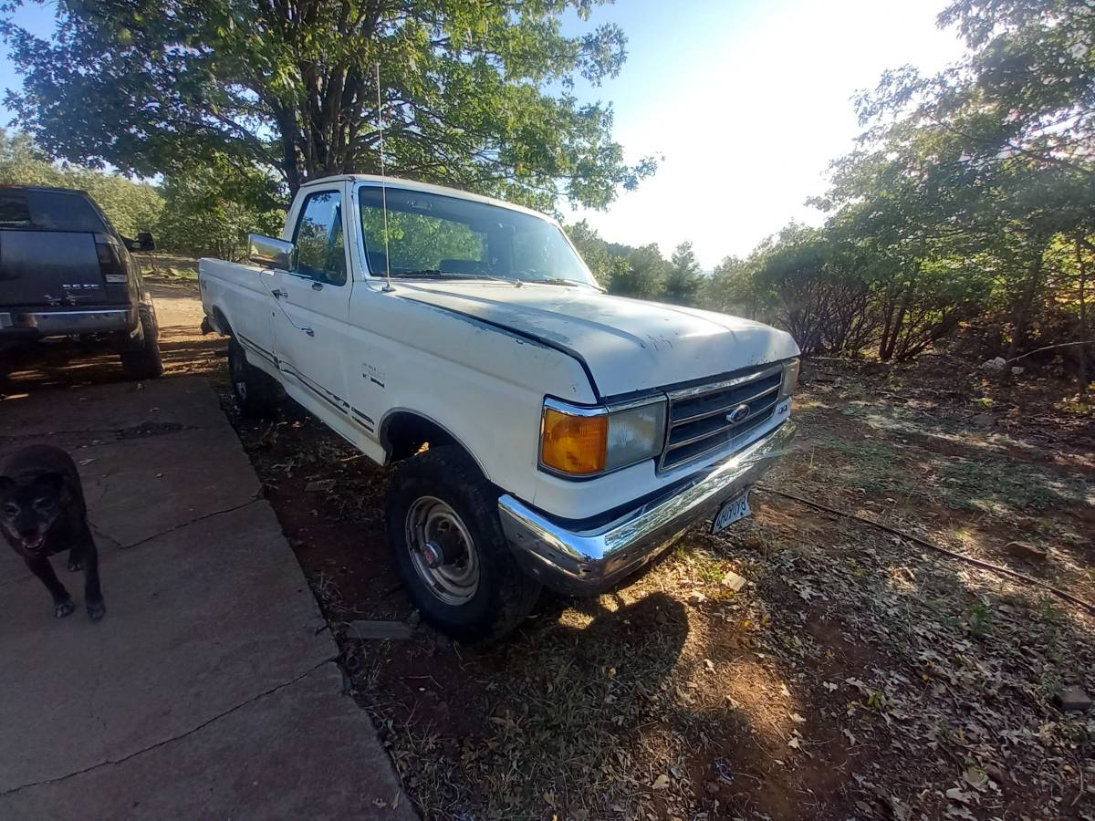 Ford-f-250-1991-white-8