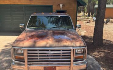 Ford-f-250-diesel-1983-brown-1